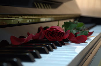 pianist uitvaart, huur piano of vleugel kosten