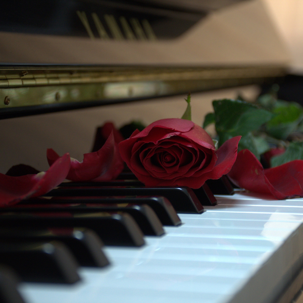 pianist uitvaart, pianist begrafenis, waardig afscheid met rode rozen